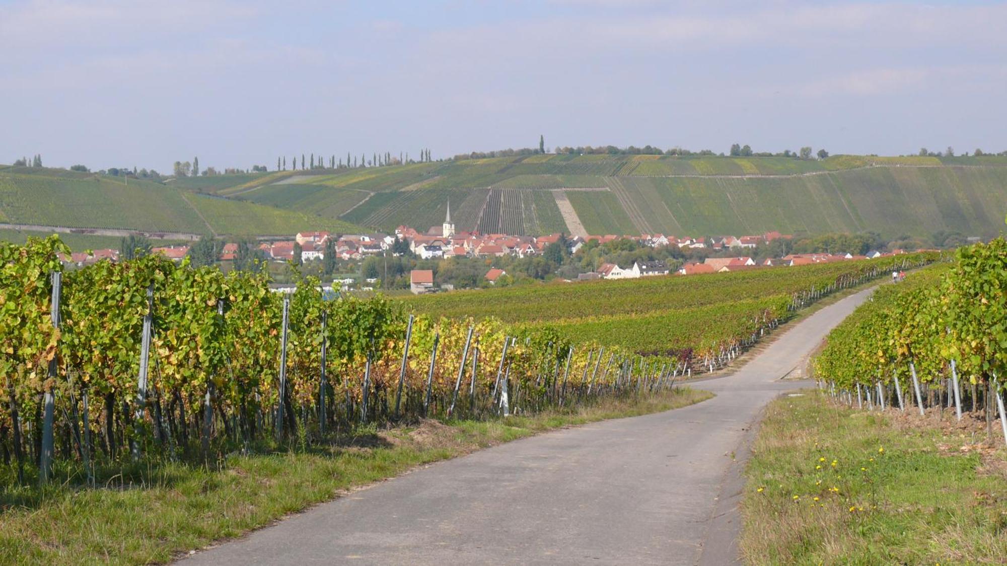 נורדהיים Weingut Herbert Kram מראה חיצוני תמונה