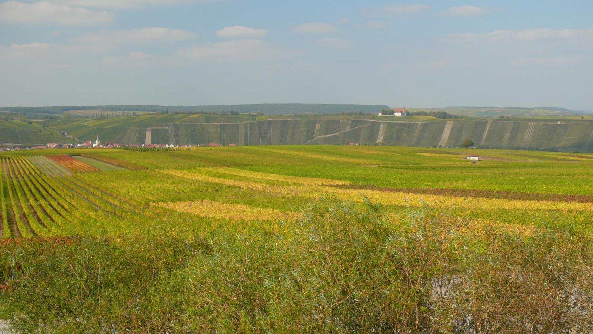 נורדהיים Weingut Herbert Kram מראה חיצוני תמונה